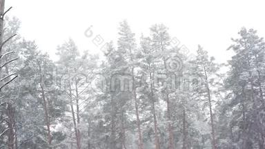 <strong>森林</strong>公园里下雪。 <strong>冰雪</strong>覆盖的模糊公园里的冬季景观。 高清视频